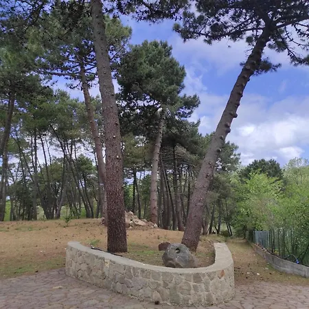 Tatil Evi Casa La Pineta *